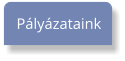 Pályázataink