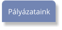 Pályázataink