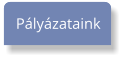 Pályázataink