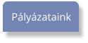 Pályázataink